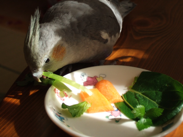 DSCF4984.JPG