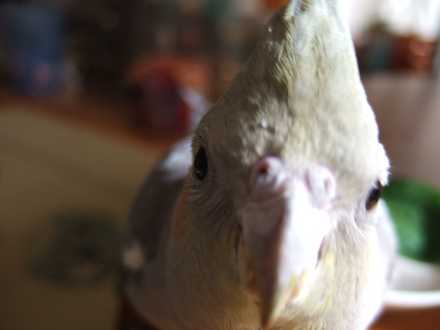 DSCF4986.JPG