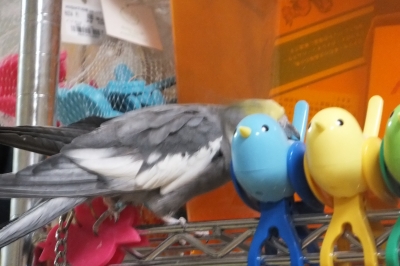 DSCF1284.JPG