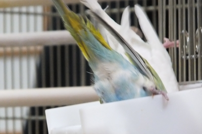DSCF1370.JPG