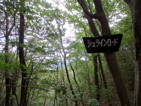 ¥·¥å¥é¥¤¥ó¥í¡¼¥É01.jpg