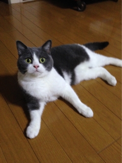 iPhoneImage.png