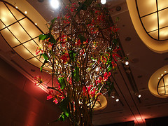 元気玉花