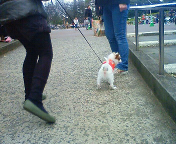 200903071621000.jpg