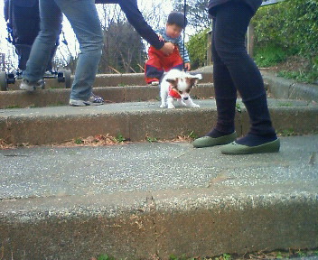 200903071634000.jpg