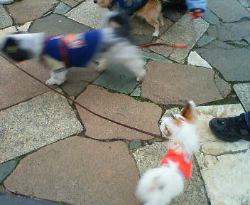 200903071649000.jpg
