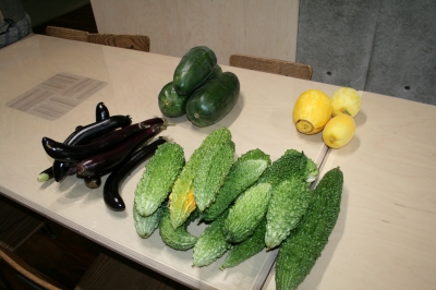 夏野菜収穫