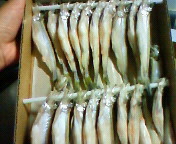 200812051615000.jpg