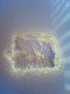 200907151716000.jpg