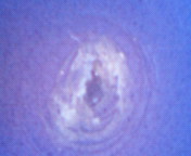 200907151716001.jpg