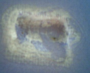 200907151522000.jpg