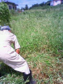 200908161120000.jpg
