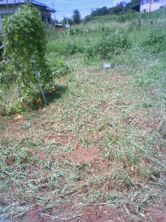200908161227000.jpg