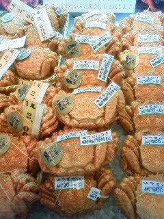 201002091033002.jpg
