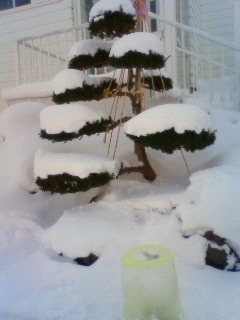 201002081023000.jpg