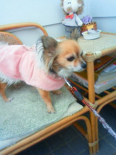 201002081211000.jpg