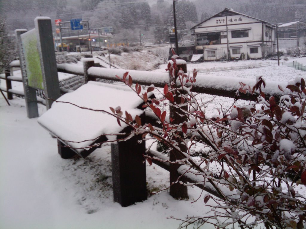 2010-12-30 13.37.41.jpg