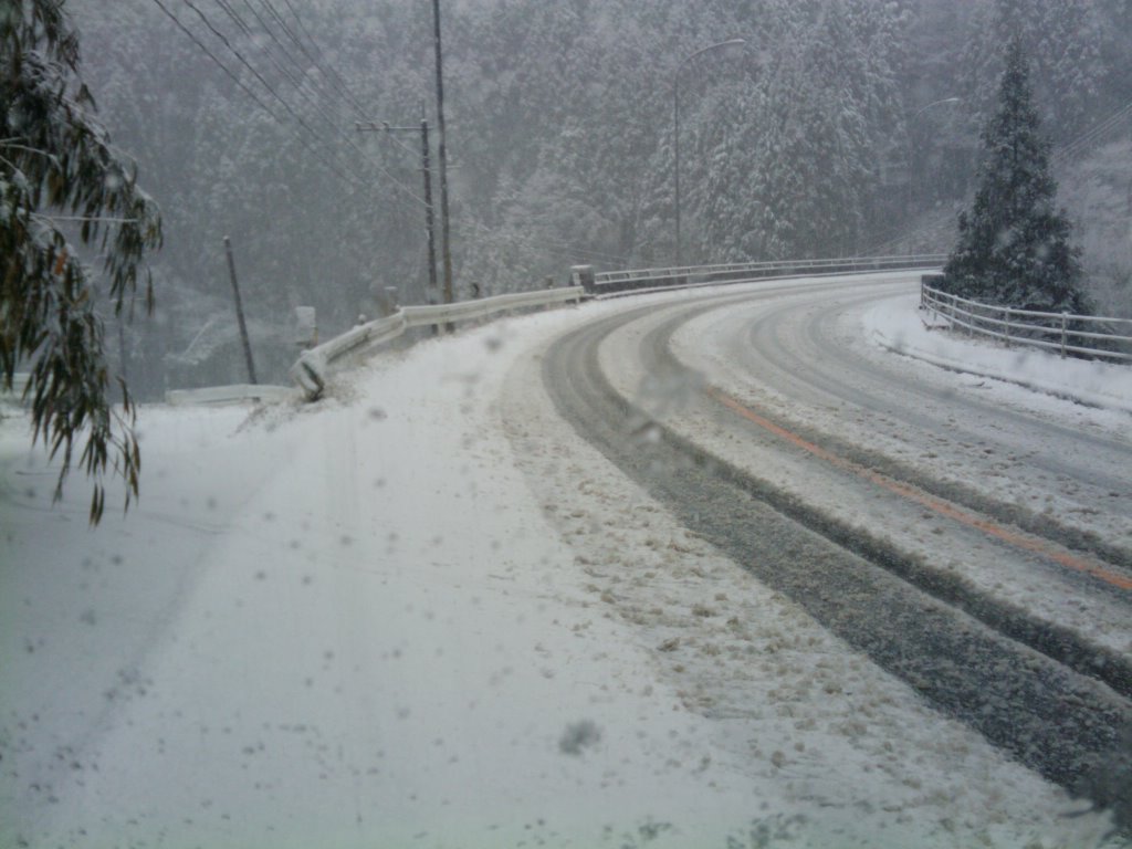 2010-12-30 12.22.13.jpg