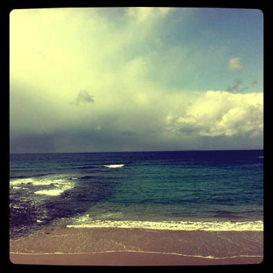 IMG_0083.png