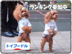 rankingbanner_t0323.jpg