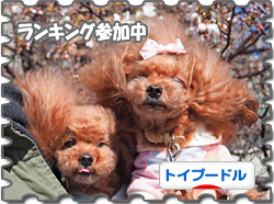 rankingbanner_t0325.jpg