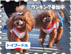 rankingbanner_t0328.jpg