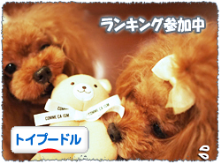 rankingbanner_t0926.jpg