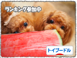 ¤Ë¤Û¤ó¥Ö¥í¥°Â¼ ¸¤¥Ö¥í¥° ¥È¥¤¥×¡¼¥É¥ë¤Ø