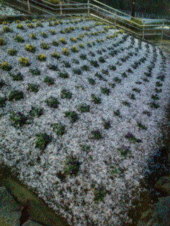 20110211173200.jpg