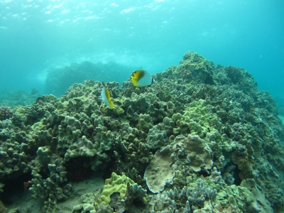 IMG_0087.JPG