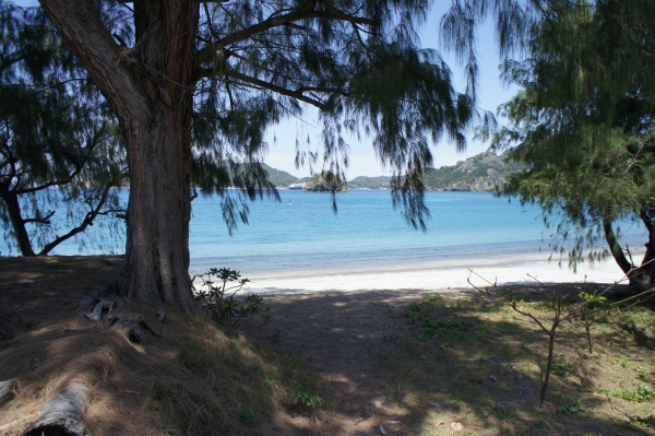 DSC09097.JPG