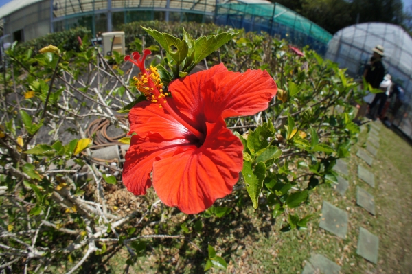 DSC09105.JPG