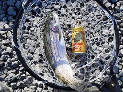 管理釣り場 朝霞ガーデン2号ルアー・フライ池釣果