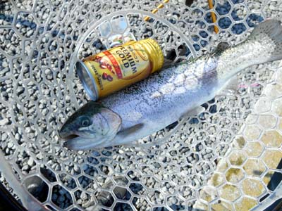 管理釣り場 朝霞ガーデン 大き目のトラウト