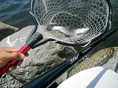 管理釣り場 朝霞ガーデン トラウト