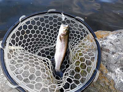 管理釣り場 朝霞ガーデン トラウト