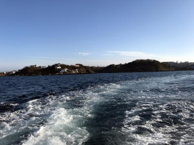 海釣り 青物