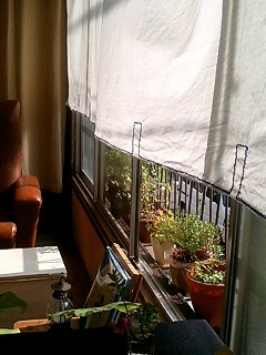 061019_1310~0001.jpg