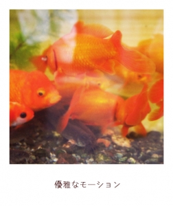根津