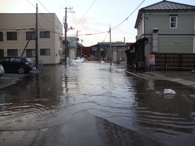 DSC04094.JPG