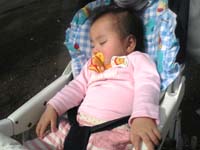 ZZZ・・・・・