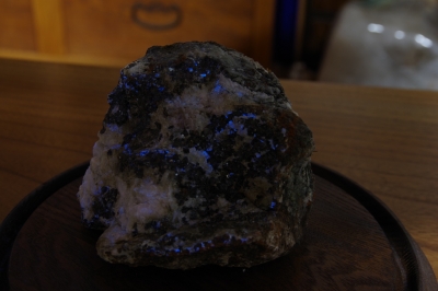 IMGP1359.JPG