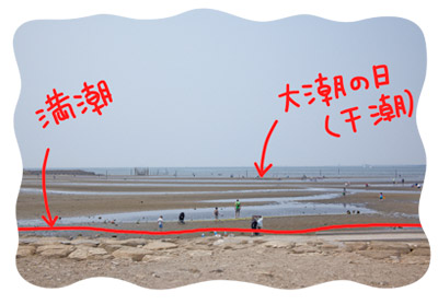 02.jpg