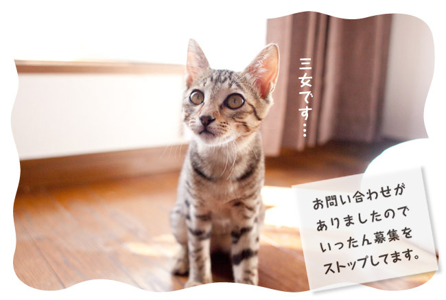 20120820_2968867.jpg