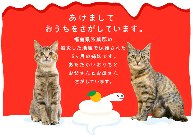 正月用募集.jpg