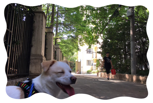 0717_06.jpg
