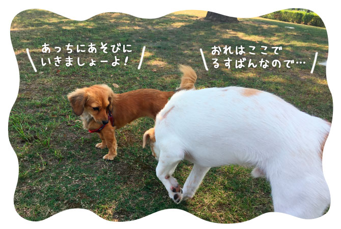 091806.jpg
