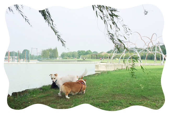 1008_05.jpg
