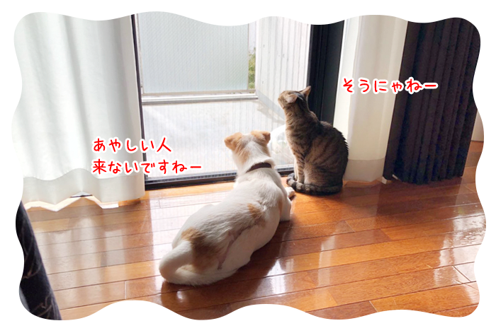 0917_03.jpg