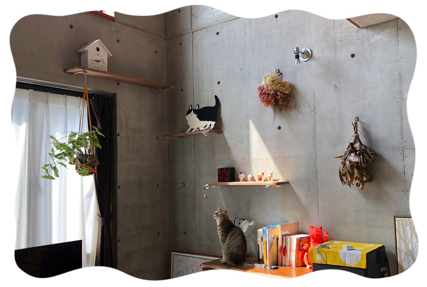 けい様　取り置き中　三毛猫ドラマー　流れ星流れるクローバー畑　Bathroom 畑に捨てられた子猫のその後】ボーちゃんが歩けるようになるまで